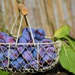 plums, fruits, basket-1649602.jpg